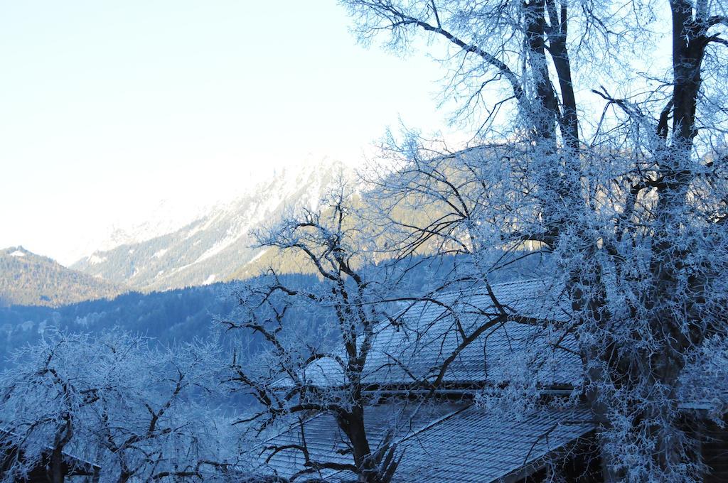 Haus Herz Ruang foto